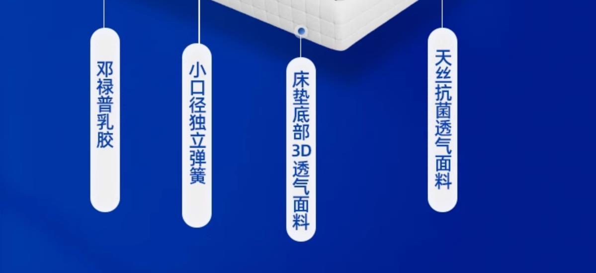 牀墊十大名牌五星級酒店家用軟墊加厚超軟記憶棉卷包壓彈簧席夢思