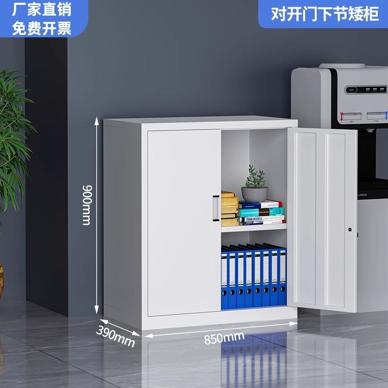 钢制文件柜铁皮柜子办公室资料柜凭证柜档案柜收纳书柜带锁储物柜