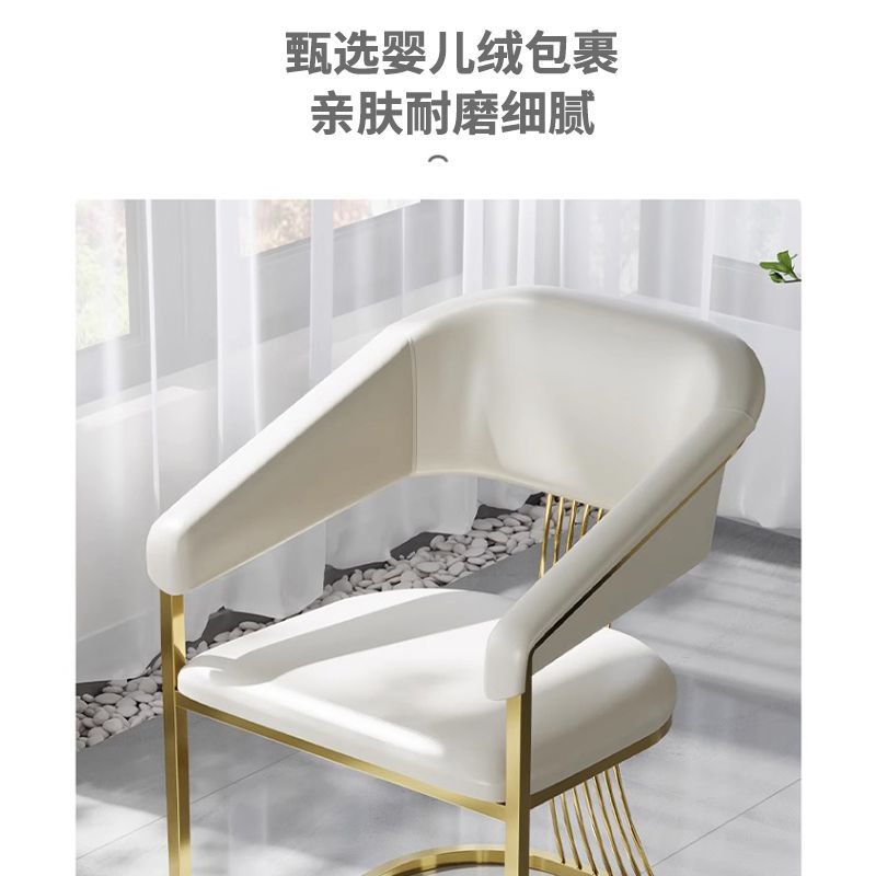 轻奢家用靠背椅单人铁艺办公会客椅洽谈茶椅主人椅休闲餐椅高级感