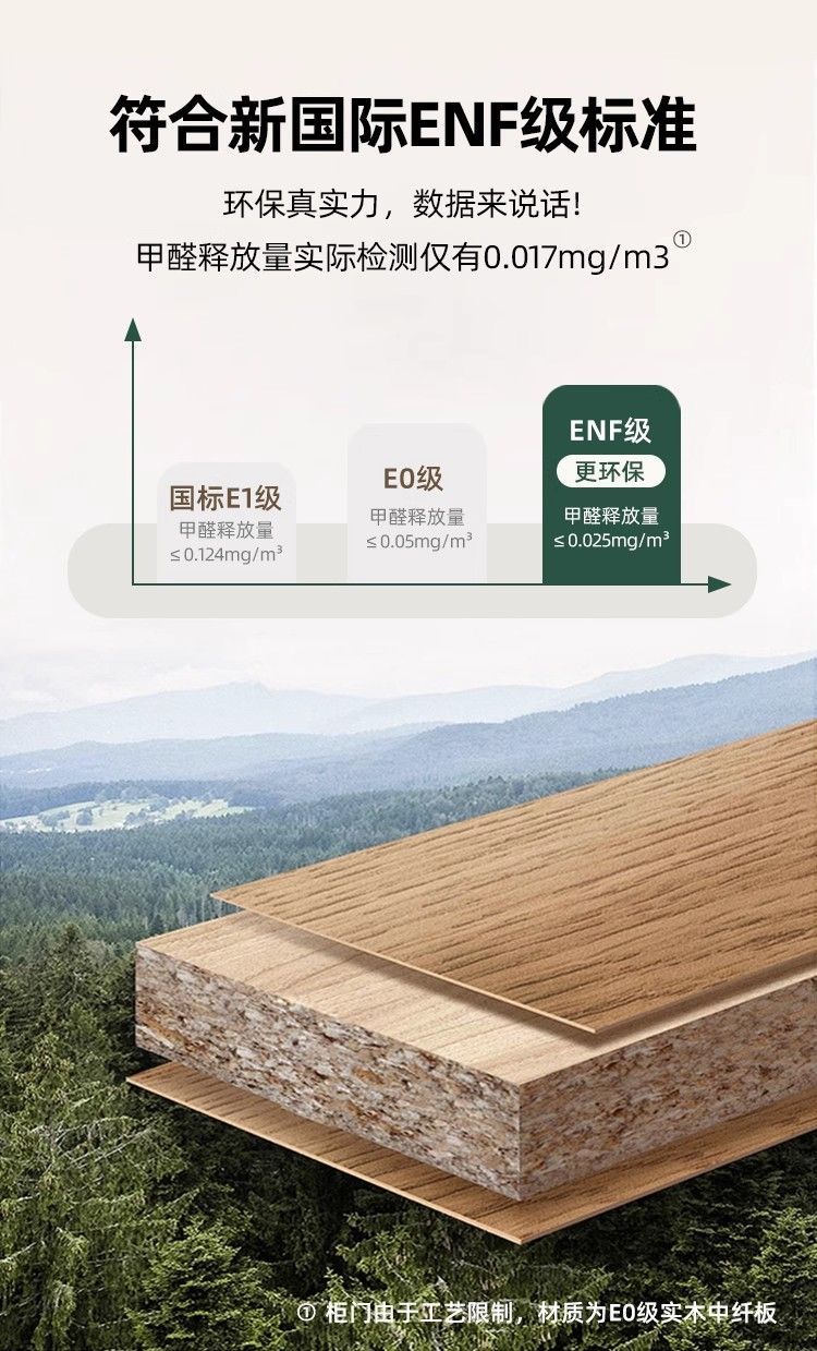 定製新款復古風超薄鞋櫃靠牆一體帶洞洞板儲物櫃家用門口入戶玄關