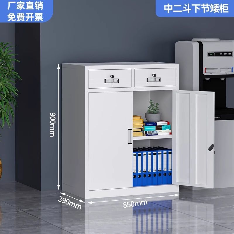 钢制文件柜铁皮柜子办公室资料柜凭证柜档案柜收纳书柜带锁储物柜