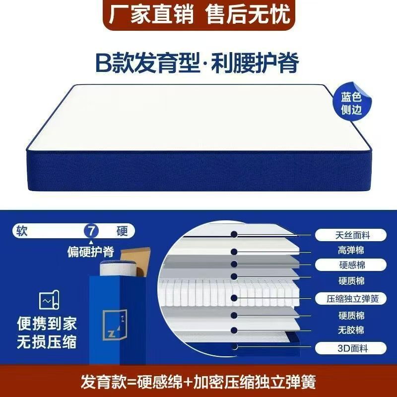 獨立彈簧捲包壓縮彈簧牀墊酒店網紅同款雙人20CM偏軟舒適牀墊