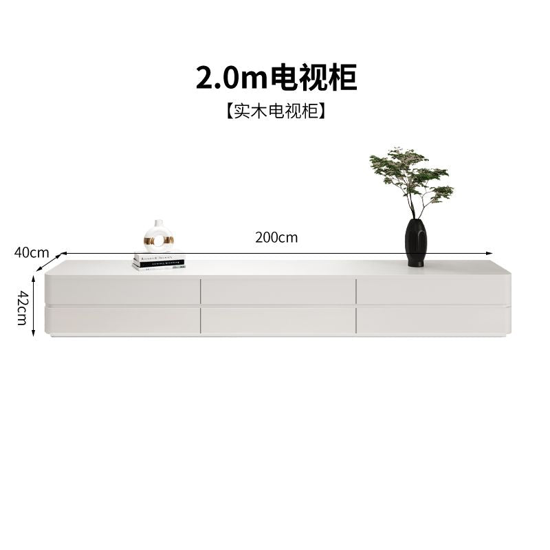 北歐風實木電視櫃帶抽屜小戶型輕奢客廳收納櫃現代簡約雙層電視櫃