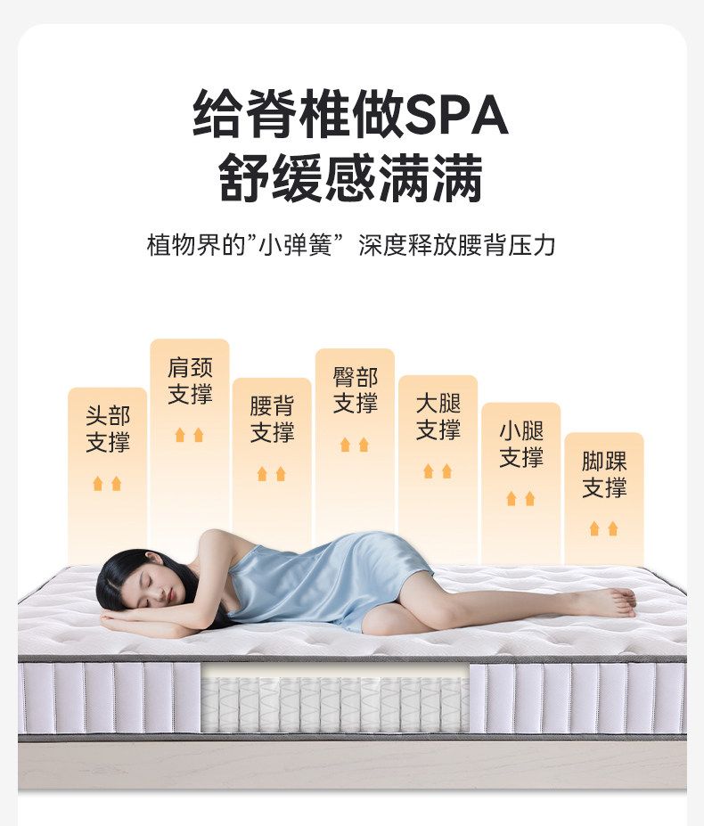 獨立袋彈簧牀墊捲包牀墊記憶棉乳膠家用臥室酒店主臥厚牀墊1525