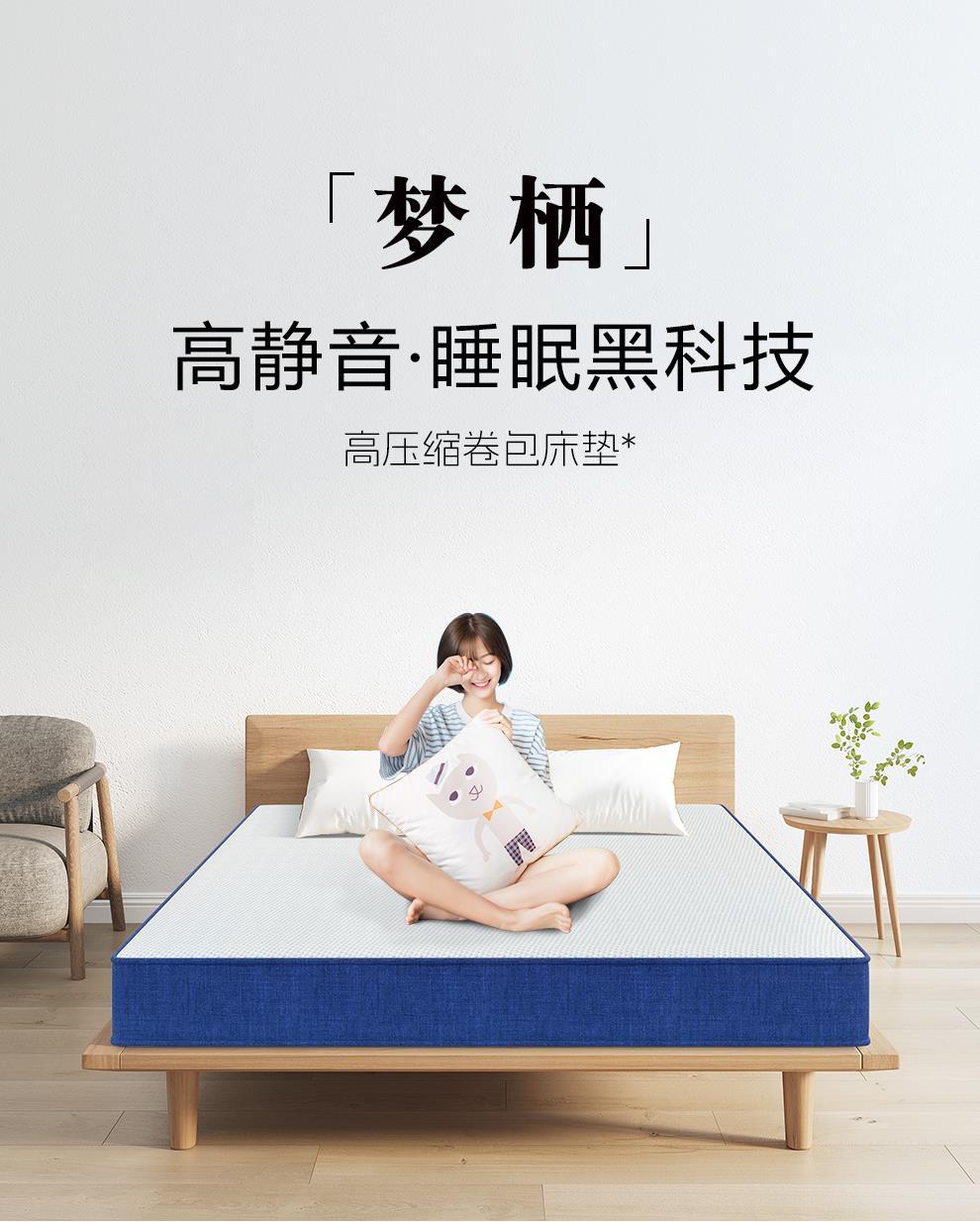 高壓縮捲包盒子牀墊記憶棉家用軟墊獨立彈簧零壓席夢思可拆洗定做