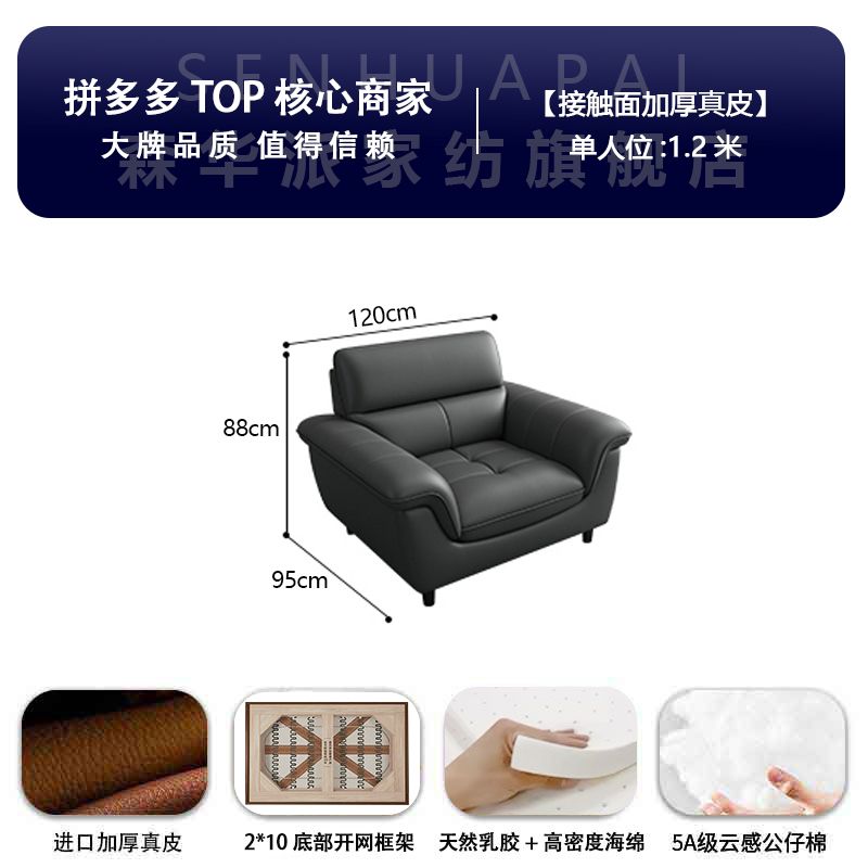 森华派真皮沙发客厅大小户型北欧现代简约轻奢三人位直排铁艺沙发