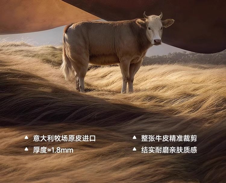 帆船真皮電動沙發牀意式復古風客廳多功能伸縮沙發可充電客廳沙發